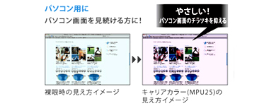 ホヤ キャリアカラー